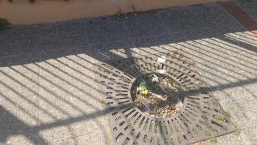 σχάρα δειλινα