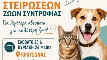 Μαλεβίζι: Τετραήμερη δράση στειρώσεων ζώων συντροφιάς σε Κρουσώνα και Πολύδροσο