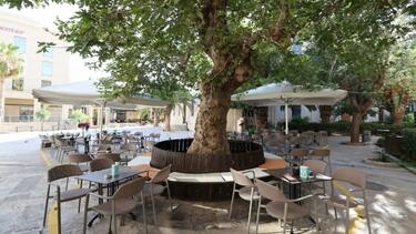 Ο Ιωάννης Ατέσογλου στο Café - Restaurant «Πλάτανος»