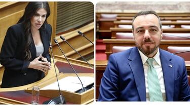 Ελένη Βατσινά, Φραγκίσκος Παρασύρης