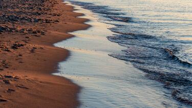 paralia