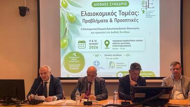 Γιάννης Ανδριανός, Ελαιοκομία