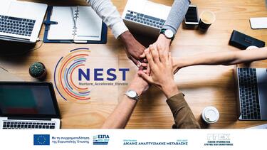 C Nest hands