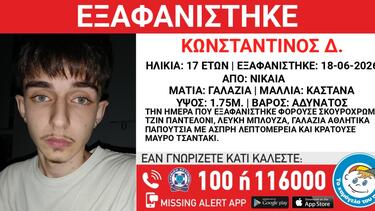 exafanisi_17xronos