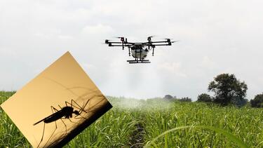Κρήτη: Με drones και δορυφορικό εντοπισμό... ξεκινά ο "πόλεμος" με τα κουνούπια 