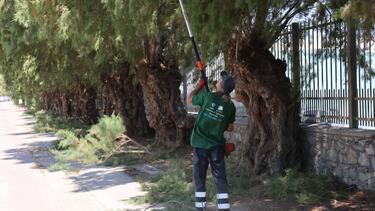 Ηράκλειο: Συνεχίζονται οι εργασίες συντήρησης και καλλωπισμού του πρασίνου