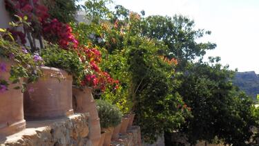 ai giannis ierapetra