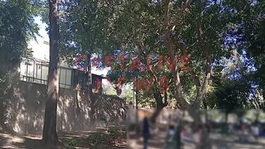 Βίγλα, Πάρκο, Κατεδάφιση