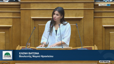 Ελένη Βατσινά, Βουλή