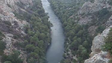 Φοινικόδασος, Πρέβελη