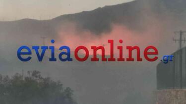 Φωτιά στην Κάρυστο Ευβοίας: Μπήκε σε σπίτια - Εξαιρετικά δύσκολη η κατάσταση