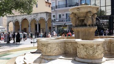 liontaria imageonline