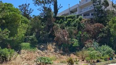 αγια αικατερίνη ξερά χόρτα