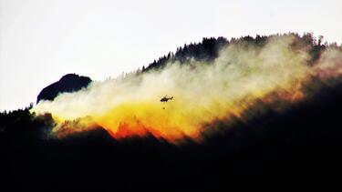 fire