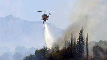 Περισσότερα από 7000 στρέμματα η πληγείσα έκταση από την πυρκαγιά στην Αιγιάλεια