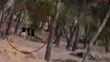 Challenge ανηλίκων μέσα σε δάσος στη λεωφόρο Πεντέλης - Βάζουν φωτιά και μετά προσπαθούν να τη σβήσουν