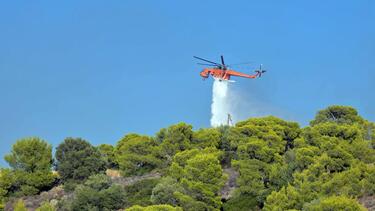 Φωτιά στην Κάρυστο – Επιχειρούν εναέρια μέσα