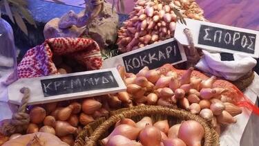γιορτή κρεμυδιού