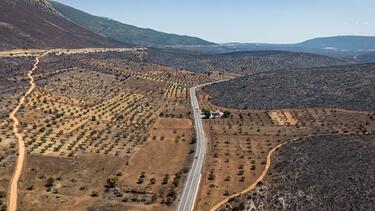 Κρατική αρωγή και στήριξη των πληγέντων – Το σχέδιο αποκατάστασης των περιοχών που επλήγησαν από τις πυρκαγιές