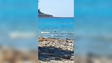 γούδουρας σητεια μετανάστες 
