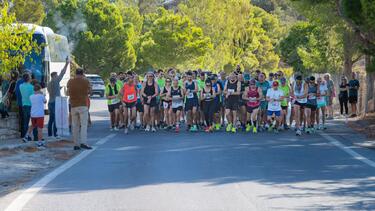 Festos Run