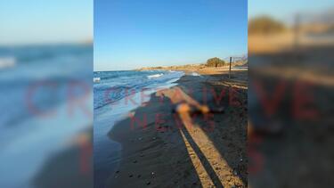 Σορός, Γούβες