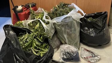 χασισοφυτεία-κρατούμενος-αγροτικές-φυλακές-αγιάς