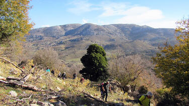 katharo