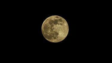 panselinos full moon