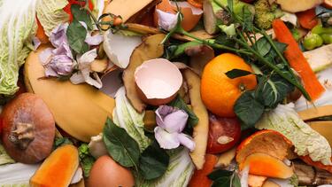 Food Waste