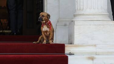 Πίνατ