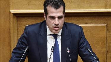 πλεύρης