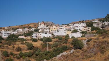 saktoyria 