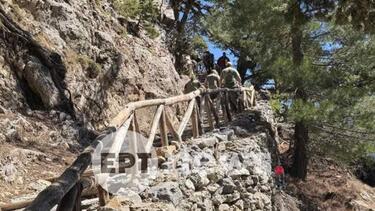 σαμαριά-εργαζόμενοι-2