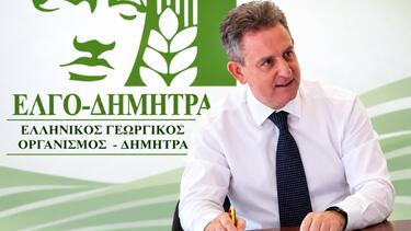Νεκτάριος Βιδάκης, ΕΛΓΟ - ΔΗΜΗΤΡΑ