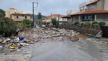 Ζωνιανά, Ζημιές 