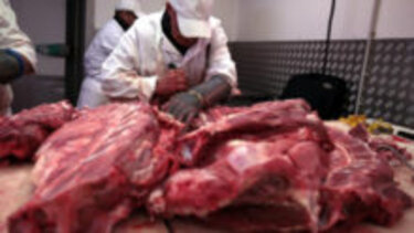 Είχαν στην κατοχή τους νωπά και κατεψυγμένα κρέατα, με πλαστές σφραγίδες