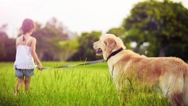 Νιώθει ο σκύλος σας ασφαλής μαζί σας;