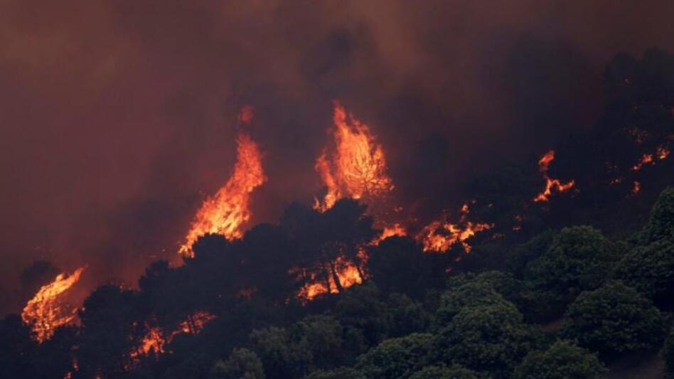 Ισπανία: 2.000 επιστρέφουν στις εστίες τους μετά τη μεγάλη πυρκαγιά