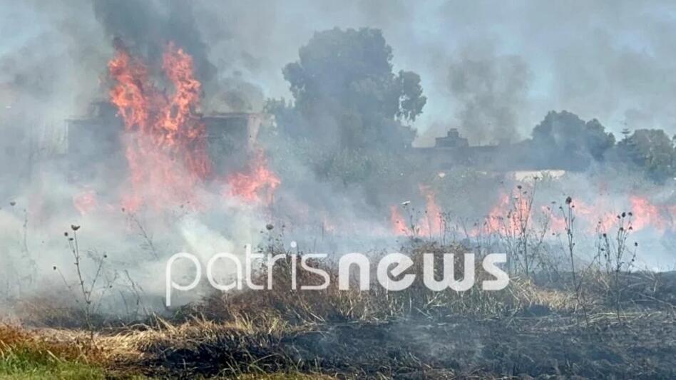 Ηλεία: Φωτιά σε δασική έκταση στην περιοχή Φανάρι Ανδρίτσαινας