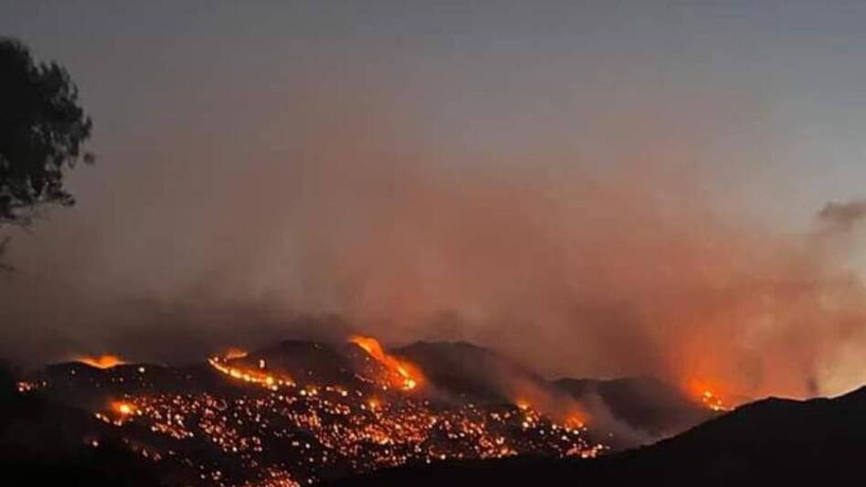 Πυρκαγιές: Ποια περιοχή της Κρήτης είναι από τις πιο επιβαρυμένες στη Μεσόγειο