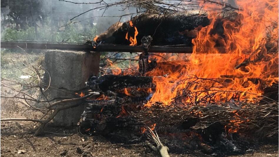 Το μεγαλύτερο πείραμα στην Ελλάδα για την καύση των νεκρών πραγματοποιείται στον Σοκαρά!
