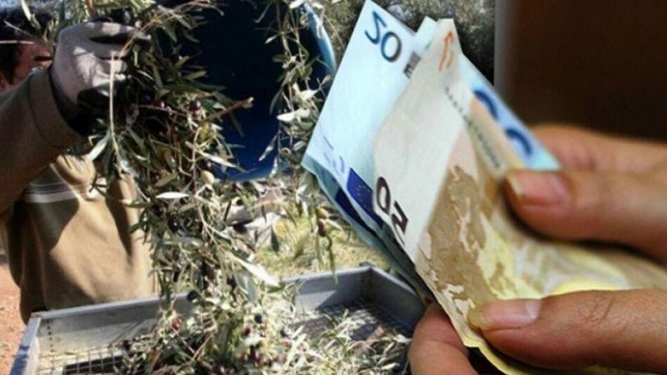 ΚΥΔ Κρήτης: «Αστεία η παράταση των 15 ημερών για το ΟΣΔΕ» - Κίνδυνος να μείνουν εκτός χιλιάδες παραγωγοί
