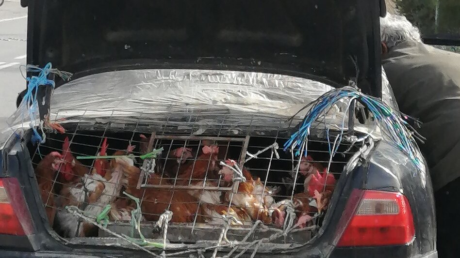 Υπάρχουν κι αυτές οι εικόνες στο Ηράκλειο...