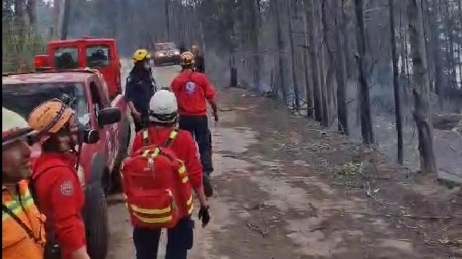Σούδα: Χωρίς ενεργό μέτωπο η φωτιά κοντά στον Ναύσταθμο - Βίντεο και φωτογραφίες