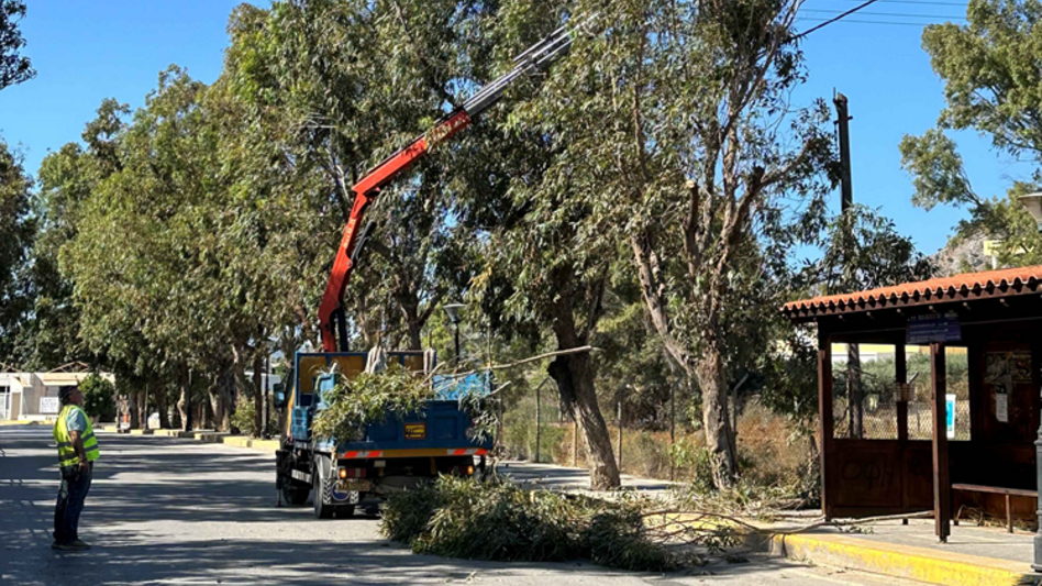 Χανιά: Εργασίες κλαδέματος από τον Δήμο την Τετάρτη (04/02)