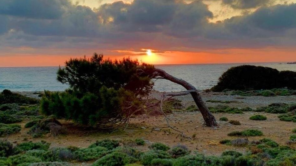 Κρήτες Ανασκουμπωθείτε 