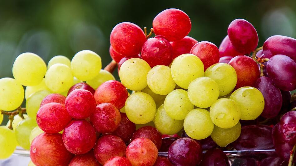 Οι 10 λόγοι που αναδεικνύουν τα σταφύλια σε super food
