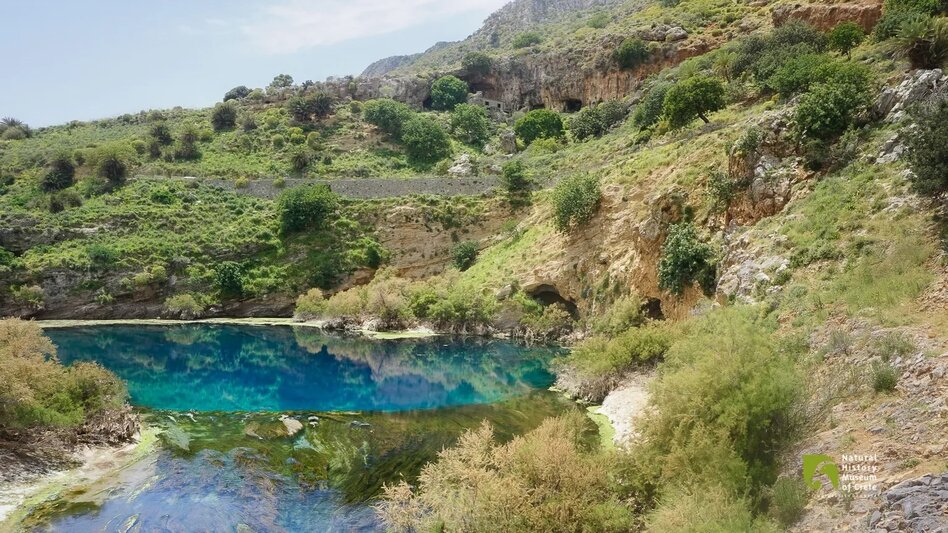 Ηράκλειο: Ο Αλμυρός ποταμός και η αλήθεια για το νερό που «χάνεται» στη θάλασσα