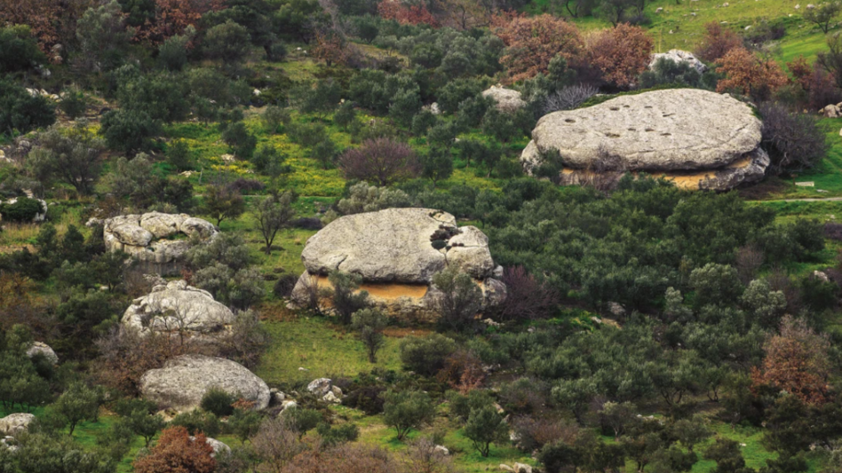 Ανακαλύψτε τις… πίτες της Γριάς στον Πρινιά!